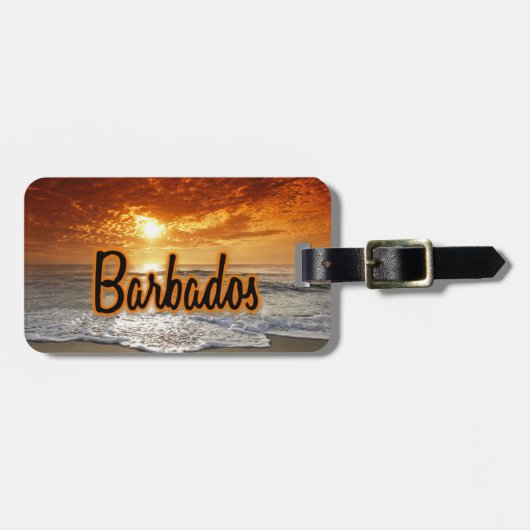 Barbados Gepäckmarke Gepäckanhänger (Vorderseite horizontal)