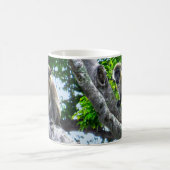 Barbados Grüne Affen Tasse (Mittel)