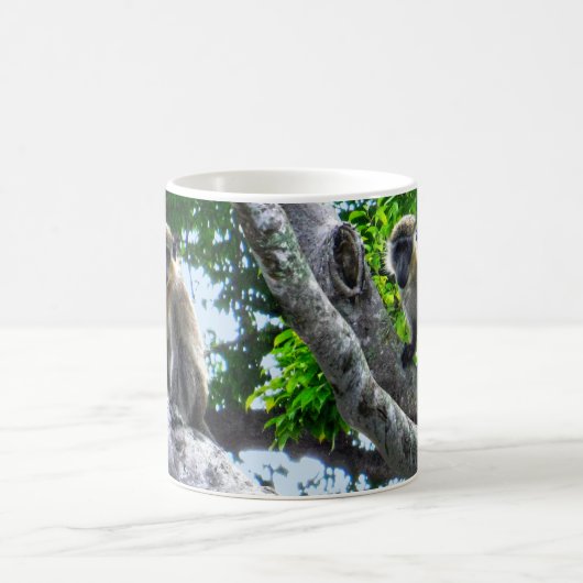 Barbados Grüne Affen Tasse (Mittel)