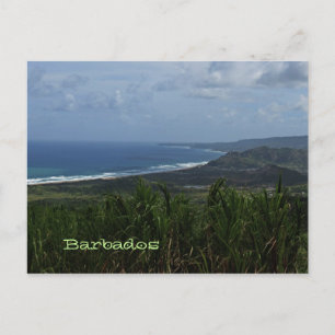 Barbados Island View Foto Postkarte