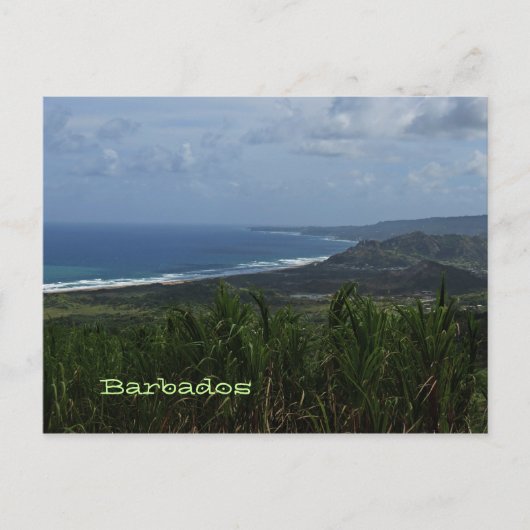 Barbados Island View Foto Postkarte (Vorderseite)