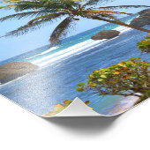 Barbados, Karibik, Ozean, Palmen, Foto (Ecke)