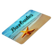 Barbados Magnet (Linke Seite)