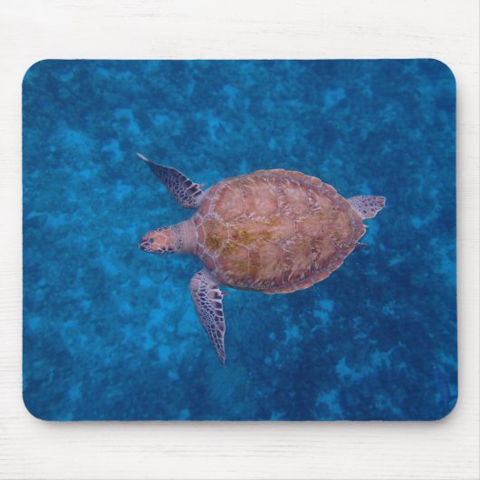 Barbados-Meeresschildkröte Mousepad (Vorne)