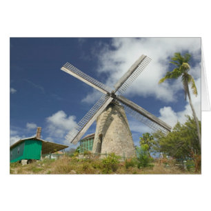 BARBADOS, Nordostküste, Morgan Lewis: Morgan