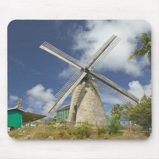 BARBADOS, Nordostküste, Morgan Lewis: Morgan Mousepad (Vorne)