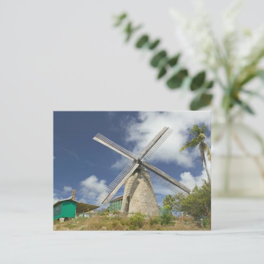 BARBADOS, Nordostküste, Morgan Lewis: Morgan Postkarte (Stehend Vorderseite)