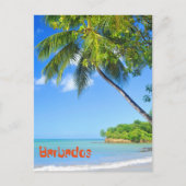 Barbados Postkarte (Vorderseite)