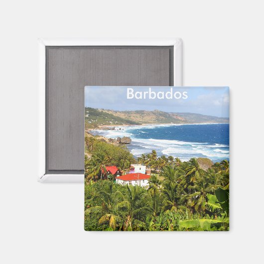 Barbados, Schöne Sicht auf den Hang und das Meer Magnet (Vorderseite/Rückseite)