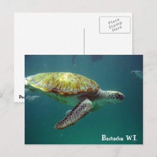 Barbados W.I. Postkarte (Vorne/Hinten)