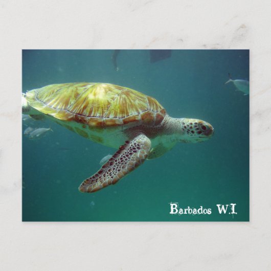 Barbados W.I. Postkarte (Vorderseite)