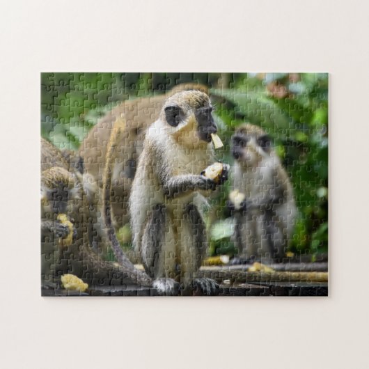 Barbados Wilder Affen Tropisches Puzzle (Horizontal)