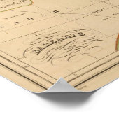 Barbarei Poster (Ecke)