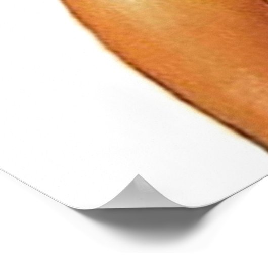 Barbarella Queen of the Galaxy Poster (Ecke)