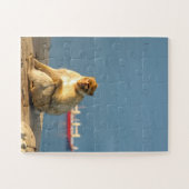 Barbary ape 30-pc puzzle (Horizontal)