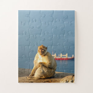 Barbary ape 30-pc puzzle