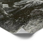 Barbary Lion Poster (Ecke)