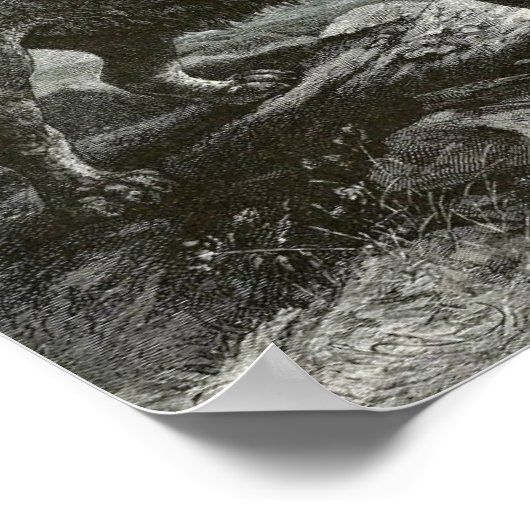 Barbary Lion Poster (Ecke)