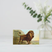 Barbary-Löwe-Visitenkarte Visitenkarte (Stehend Vorderseite)