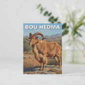 Barbary Sheep im Bou Hedma Nationalpark Tunesien Postkarte (Stehend Vorderseite)