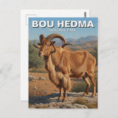 Barbary Sheep im Bou Hedma Nationalpark Tunesien Postkarte (Vorne/Hinten)
