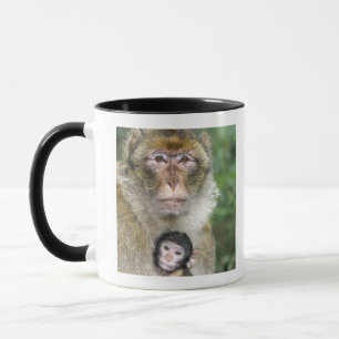 BarbaryMacaque. Adulte mit babyMacaca Tasse