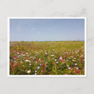 Barbate, Andalusien (Spanien) Postkarte