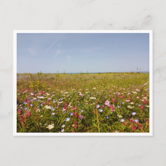 Barbate, Andalusien (Spanien) Postkarte (Vorderseite)