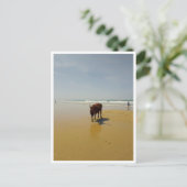 Barbate, Andalusien (Spanien) Postkarte (Stehend Vorderseite)