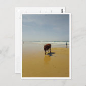 Barbate, Andalusien (Spanien) Postkarte (Vorne/Hinten)