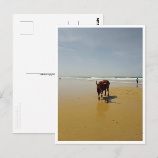 Barbate, Andalusien (Spanien) Postkarte (Vorne/Hinten)