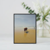 Barbate, Andalusien (Spanien) Postkarte (Stehend Vorderseite)