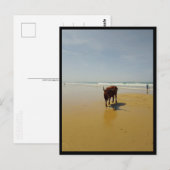 Barbate, Andalusien (Spanien) Postkarte (Vorne/Hinten)