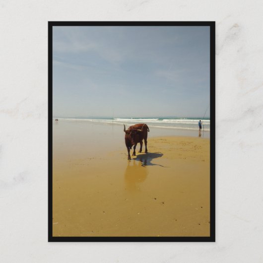 Barbate, Andalusien (Spanien) Postkarte (Vorderseite)