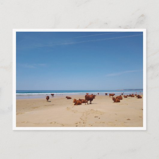 Barbate, Andalusien (Spanien) Postkarte (Vorderseite)