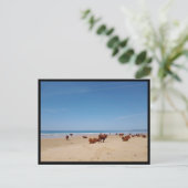 Barbate, Andalusien (Spanien) Postkarte (Stehend Vorderseite)