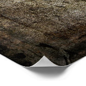 BARBED STAR TEXAS POSTER (Ecke)