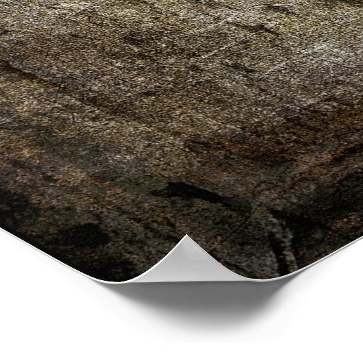 BARBED STAR TEXAS POSTER (Ecke)