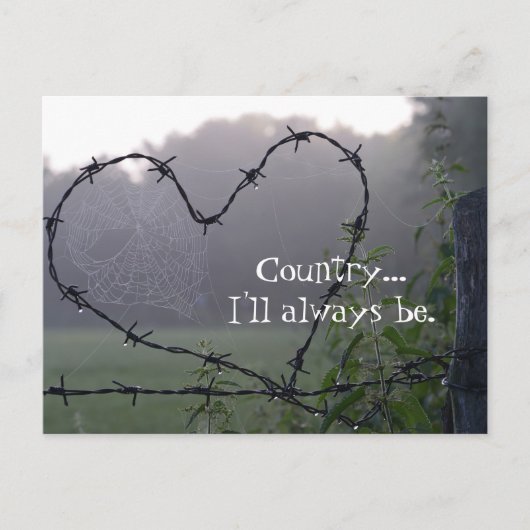 Barbed Wire Country Heart Postkarte (Vorderseite)
