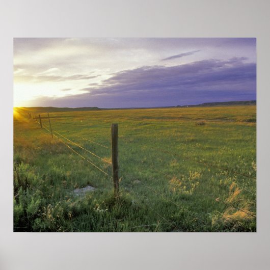 Barbed Wire Fenceline im Nordosten Montanas Poster (Vorne)