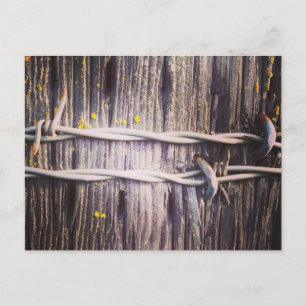 Barbed Wire & Oak Texture Postcard Postkarte