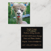 Barbeli Entwürfe Quadratische Visitenkarte (Vorne/Hinten)