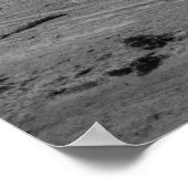 BARBER 1941 POSTER (Ecke)