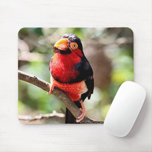 Barbet Bird Mousepad (Mit Mouse)