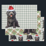 Barbet Christmas Dog Green Kariert Geschenkpapier Set<br><div class="desc">Ein bezaubernder Barbet Hund ist bereit für die Ferienzeit mit Ferienhut. Dieser niedliche Weihnachtshund ist mit einem grünen und weißen Urlaub gepaart,  kariert auf diesem Set der Geschenkpackung für den Hundefreund.</div>