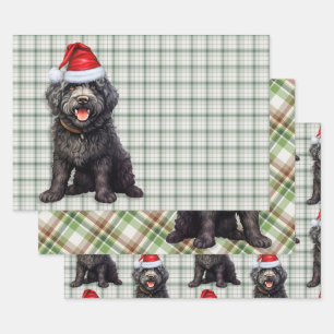 Barbet Christmas Dog Green Kariert Geschenkpapier Set