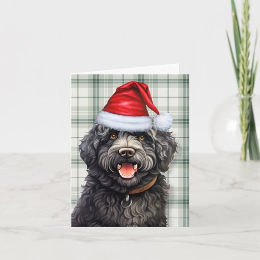 Barbet Christmas Dog Grün Karierte Weihnachten (Vorderseite)