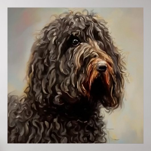 Barbet - Dog Portrait Poster (Vorne)