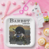 Barbet, französischer Wasserdog Pappteller (Party)