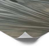 Barbet, französischer Wasserdog Poster (Ecke)